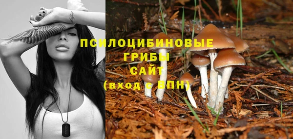 трава Алексеевка