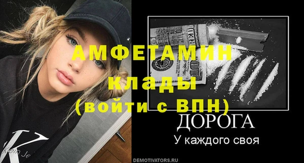 стаф Алексин